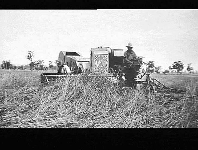 8 FT SUNSHINE HEADER AT WORK ON MICHEAL LEANARDS FARM, TICHBORNE VIA PARKES, VIC (?)