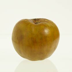 Wax model of an apple painted discoloured green.