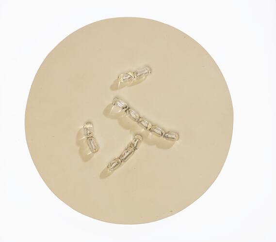 Light brown disc with clear glass capsule-shaped pieces on top.