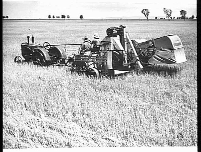 Photograph - H.V. McKay Massey Harris, Farm Equipment Manufacture ...