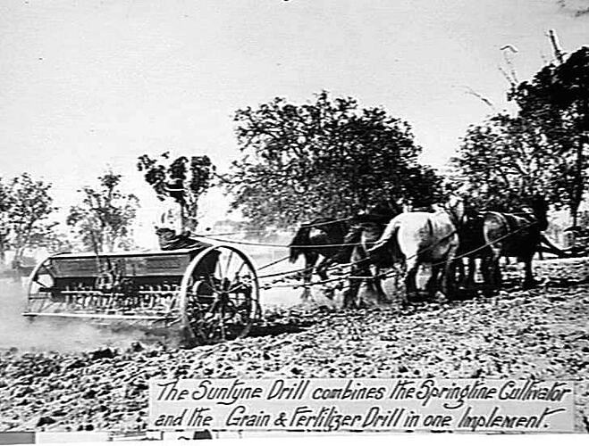 THE `SUNTYNE' DRILL COMBINES THE `SPRINGTINE' CULTIVATOR AND THE GRAIN AND FERTILIZER DRILL IN ONE IMPLEMENT