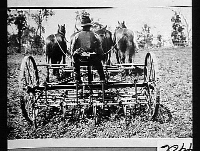 NO. 21A M-H CULT. ON MR. J. B. GAMBLY'S FARM, OLD BONALBO, QLD: 1931 (THIS IMPLEMENT IS ALSO THE SUNSHINE HIGH WHEEL LUCERNE RENOVATOR)