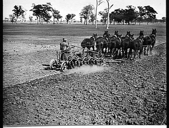 10 DISC `SUNDERCUT' WORKING ON W. J. MORRISSEY'S FARM, THE RAND, N.S.W.: 22 MARCH 1937