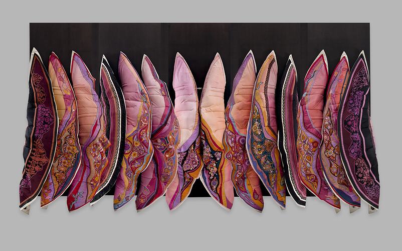 Black panel with 14 orange segment-shaped slices in mostly pink tones representing seed pods in a row.