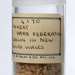 Wheat sample in cylindrical glass jar. Detail of white paper label on front.