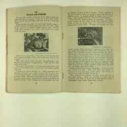 HT 57743, Booklet -  'Book One, For Beginners', 'I Can Read English' series, Department of Immigration, 1954 (MIGRATION), Document, Registered