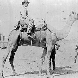 Negative - Man on Camel, Western Australia, circa 1895