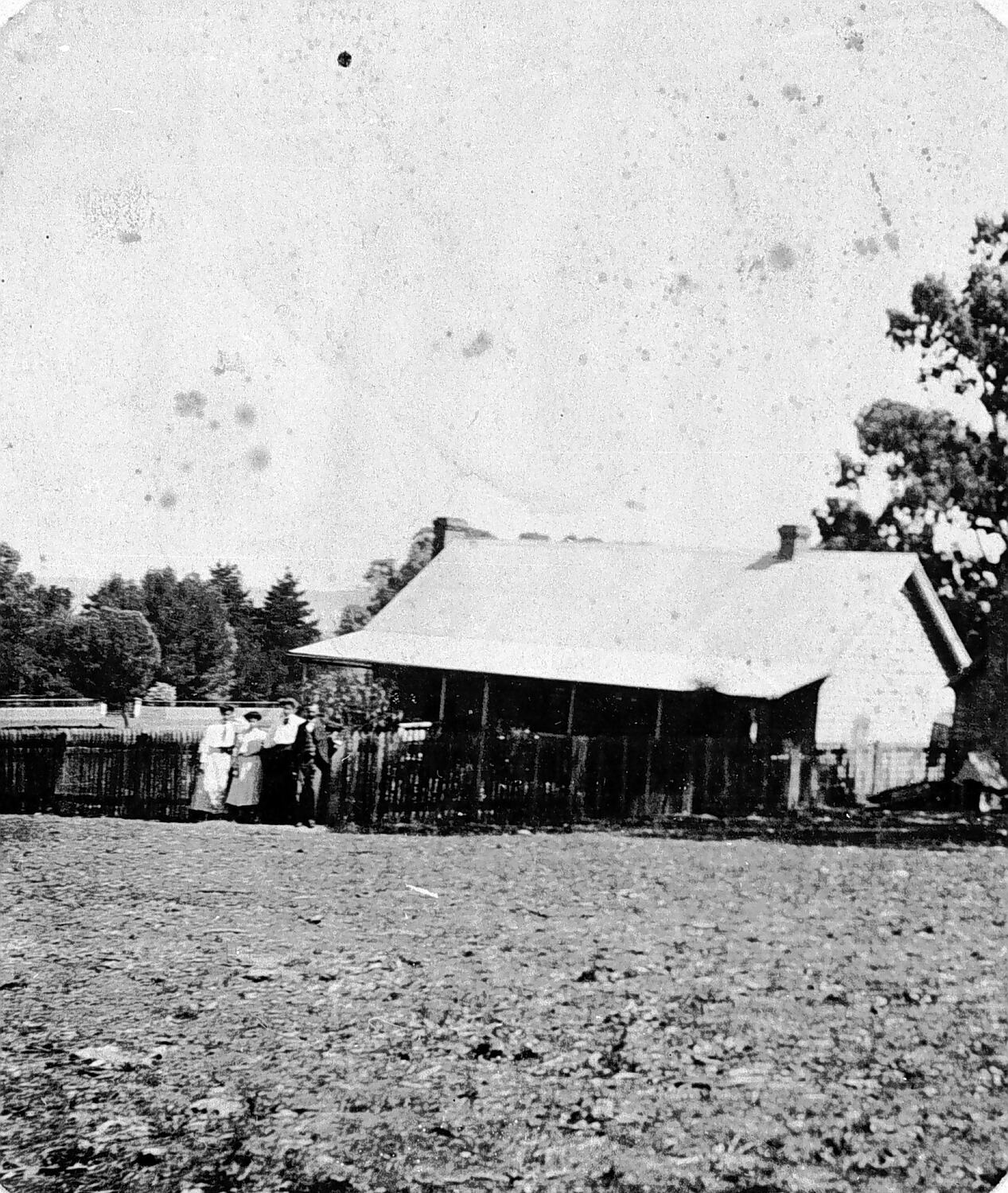 Negative - Casterton District, Victoria, 1904