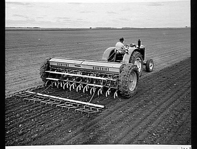 BROAD ACRES. A TYPICAL SCENE AT SEEDING TIME IN THE WIMMERA. MR. R. GIDDINGS, BLACKHEATH VIA HORSHAM, WITH HIS SUNSHINE MASSEY HARRIS 55K TRACTOR, 500-SERIES `SUNTYNE' CULTIVATING DRILL AND `SUNTOW' STUMP-JUMP HARROWS: JUNE 1952