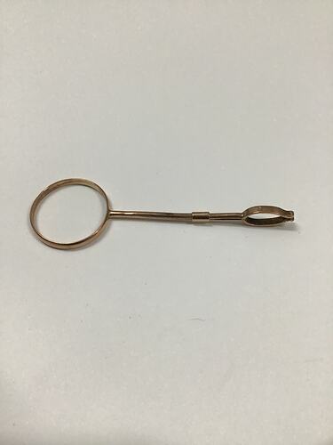 Gold post featuring a circular element at one end and a smaller pincer-style grip at the other.