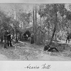 Photograph - 'Acacia Dell', by A.J. Campbell, Lower Ferntree Gully, Victoria, 1905
