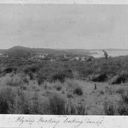 Photograph - 'Flynn's Rookery Looking South', by A.J. Campbell, Phillip Island, Victoria, Mar 1902