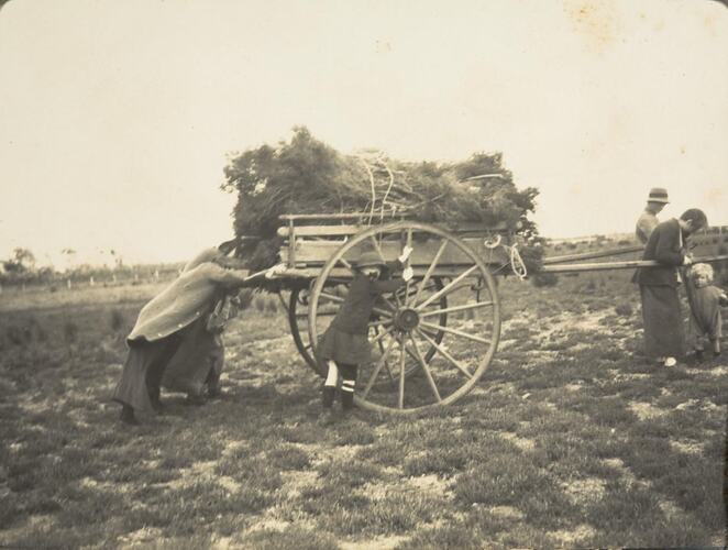 Digital Photograph - Women & Children Pulling Cart loaded with Ti Tree, Saint Margaret Island, circa 1910