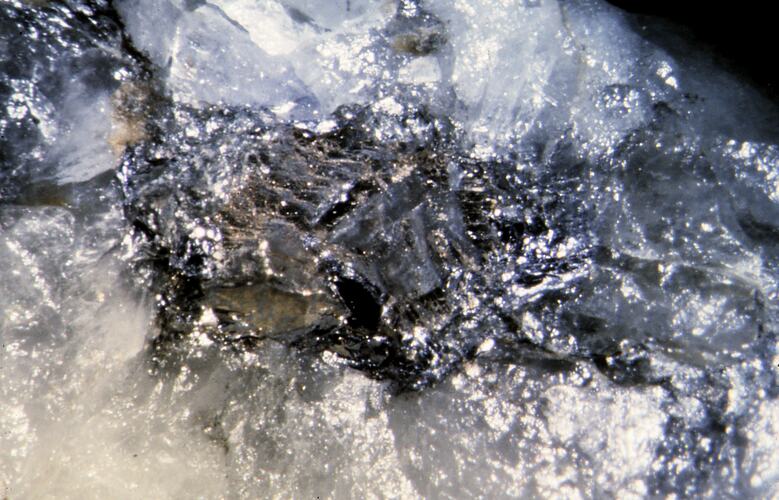 Maldonite. [M 23523]