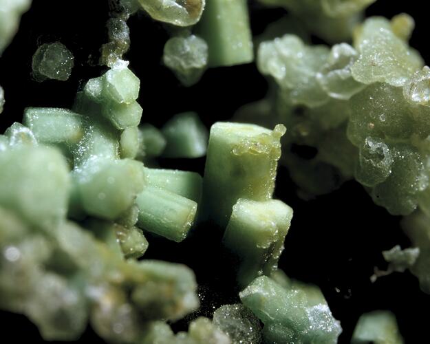 Hidalgoite. [M 36882]