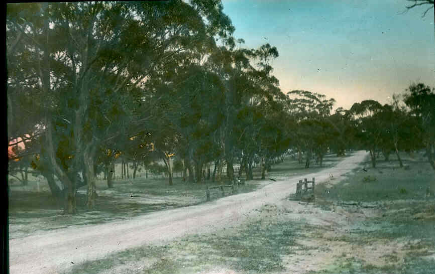 Lantern Slide - Toolern Vale, Victoria, 1935