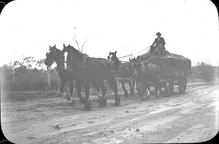 Lantern Slide - Horse Drawn Cart, Australia, Date Unknown