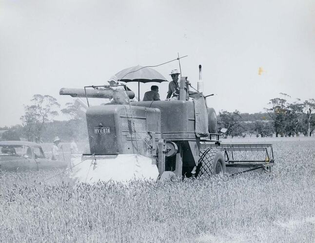 Three men operating a harvester, and testing the amount of grain loss.