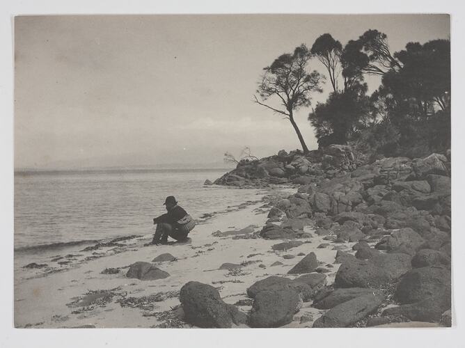 Photograph Album - Field Naturalists' Club of Victoria, Scientific Expedition to Kent Group Islands, Bass Strait, A J Campbell, 1890
