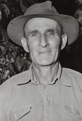 Photograph - Massey Ferguson, Arthur Hardwick, Cane Farmer, Queensland ...