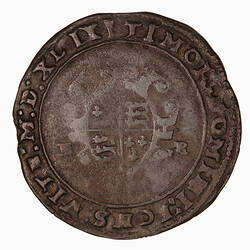 Coin, round, Royal shield, quartered with the arms of England and France, at the centre of a double rose.