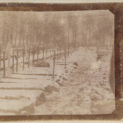 Snow covered cemetery with rows of crosses and trees in background.