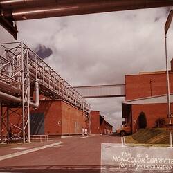 Photograph - Kodak Australasia Pty Ltd, View Along Road Servicing Building 7, Testing,  Building 3, Emulsion Coating & Building 2, Emulsion Making at the Kodak Factory, Coburg, 1964
