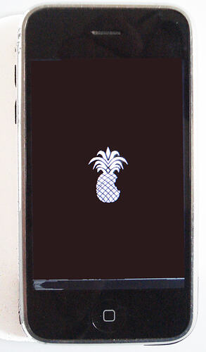 iPhone with pineapple in centre of screen.