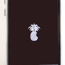 iPhone with pineapple in centre of screen.