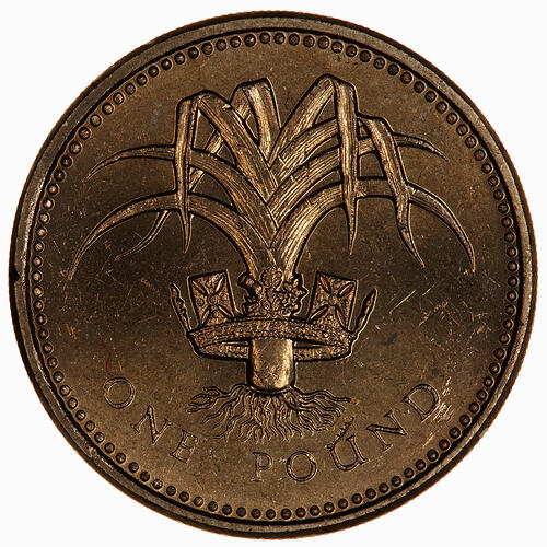 Coin - 1 Pound, Elizabeth II, Great Britain, 1985 (Reverse)