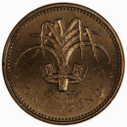 Coin - 1 Pound, Elizabeth II, Great Britain, 1985 (Reverse)