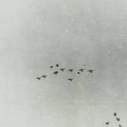 Group of several aircraft in the sky.
