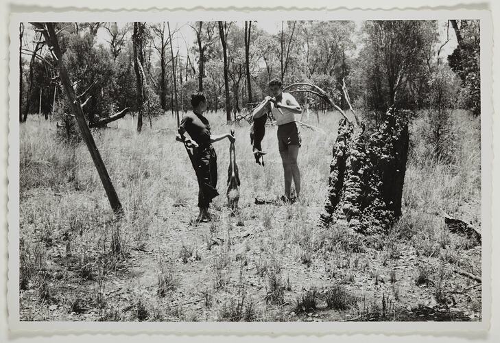 Julius Toth & Friend Hunting, Queensland, Dec 1959