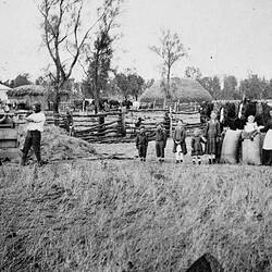 Negative - Winnowing the Grain Crop, Kellalac, Victoria, circa 1885