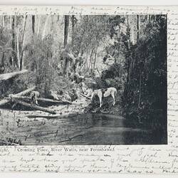 Postcard - Crossing Place, River Watts near Fernshawe, To J. B. Scott from Marion Flinn, Melbourne, 10 Aug 1904