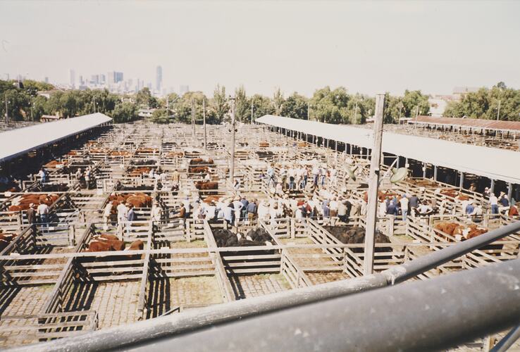 Aerial View of Newmarket Saleyards, 1 April 1987