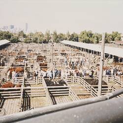 Digital Photograph - Aerial View of Newmarket Saleyards in Daylight, Newmarket, 1 Apr 1985