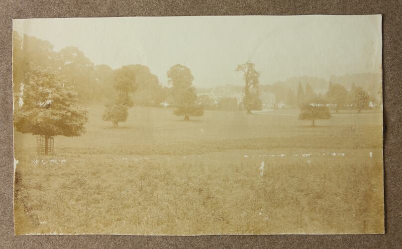 Photograph - Lawn, Driver Cyril Rose, World War I, 1916-1919