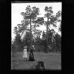 Glass Negative - Women in Woodland, by A.J. Campbell, Echuca, Victoria, circa 1900