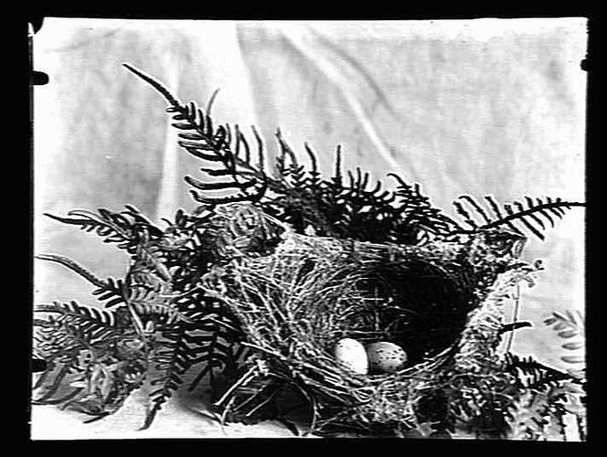 Negative - Glass