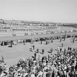 Coca-Cola, Moonee Valley Racecourse, Moonee Ponds, Victoria, Oct 1954