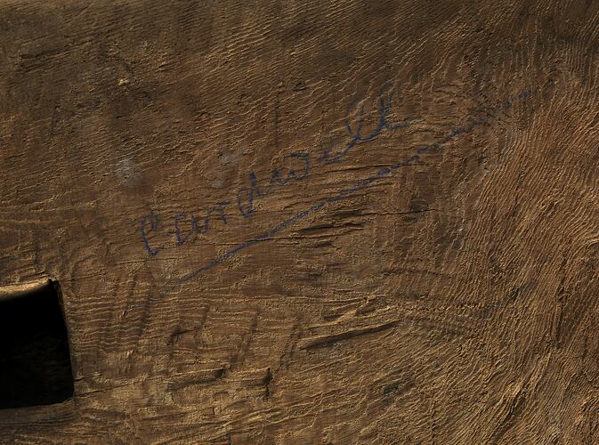 Shield, Australia, Rainforest