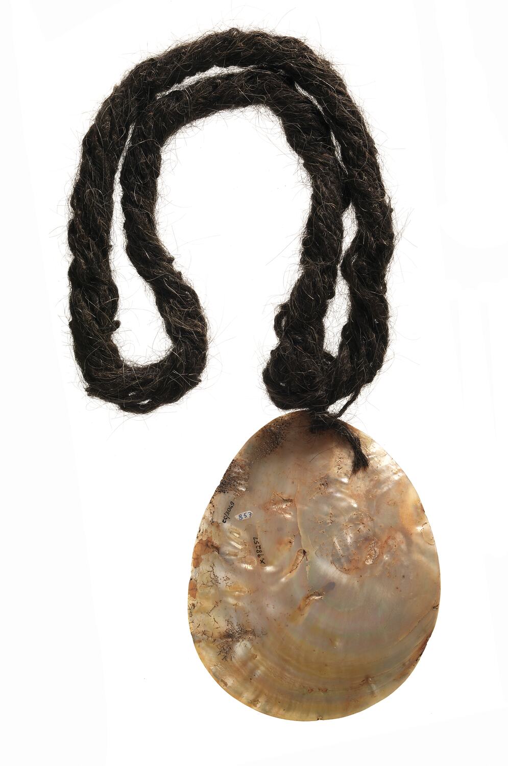 Riji Ornament, neck. Bardi. Kimberley, Western Australia, Australia