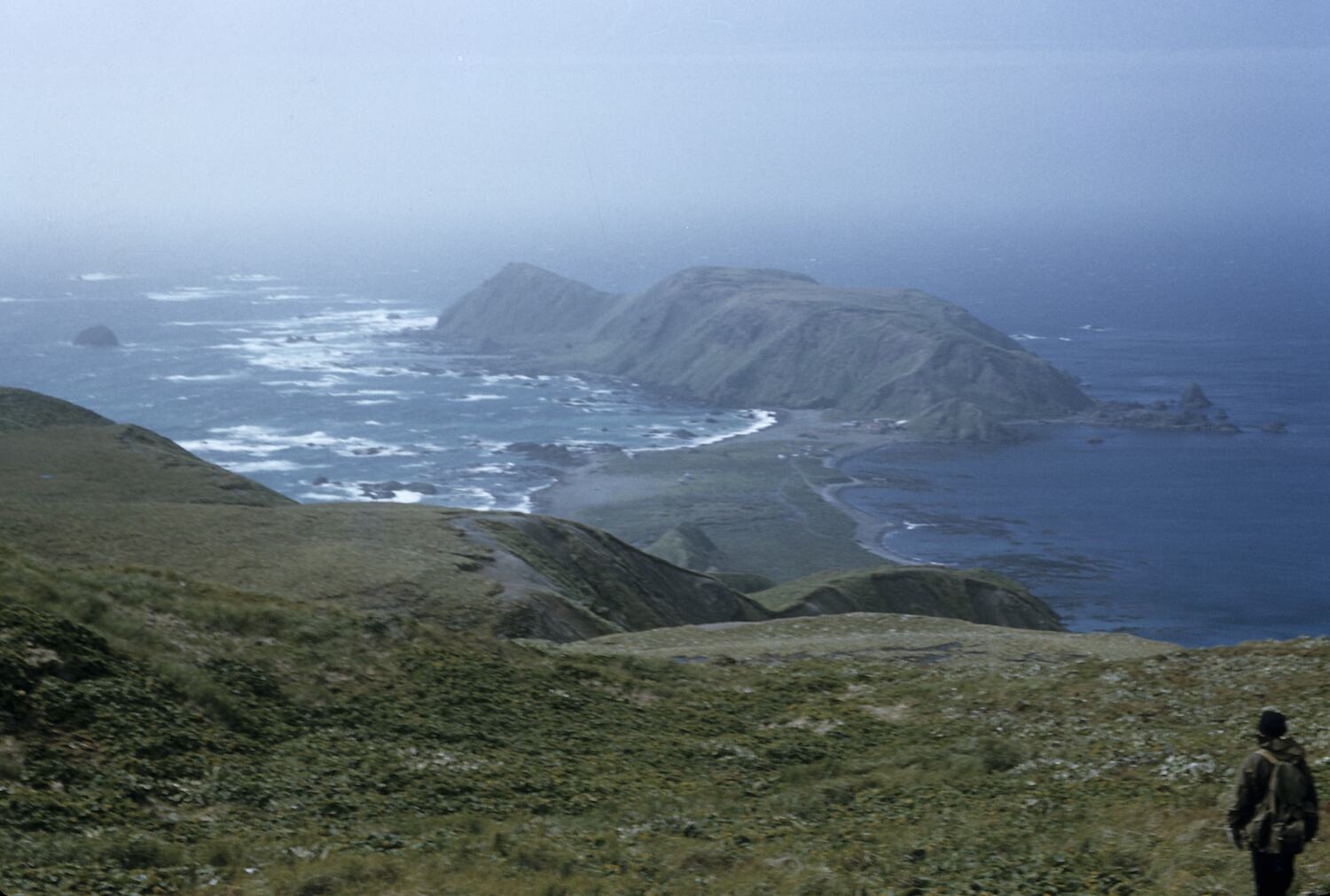 Slide North Head Macquarie Island Tasmania Dec 1959