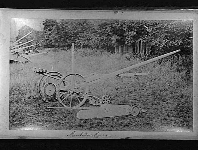 Photograph
