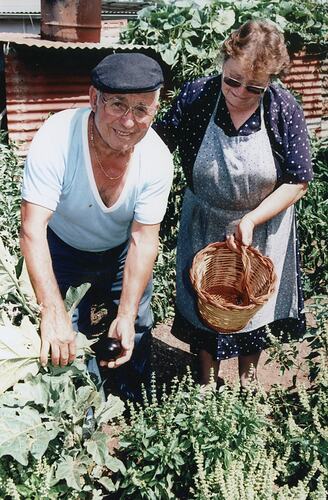 Salvatore and Gesualda Mazzarino in their Garden, St Albans, 1980s
