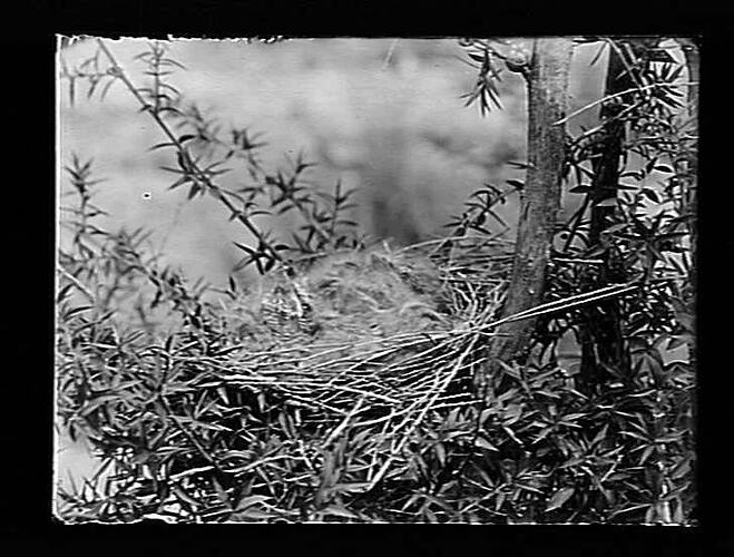 Negative - Glass