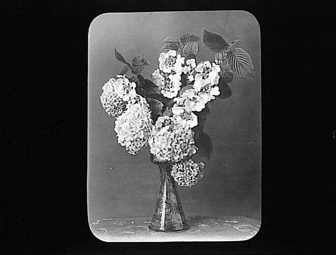 Lantern Slide