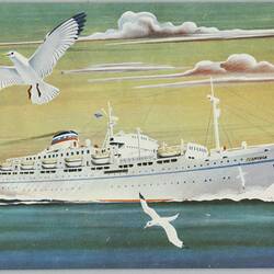 Postcard - 'M/N Flaminia', Cogedar Line, Genova, 1959