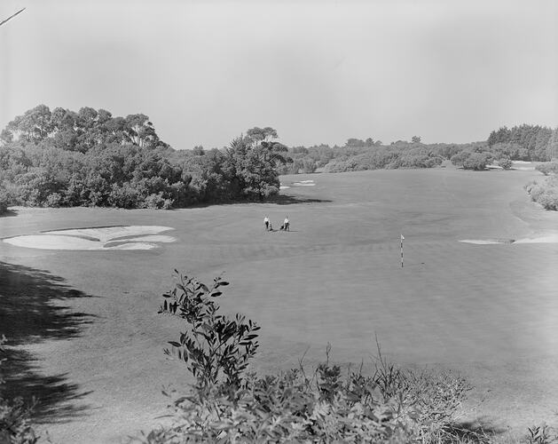 Royal Melbourne Golf Club, View of the Green, Victoria, 04 Sep 1959